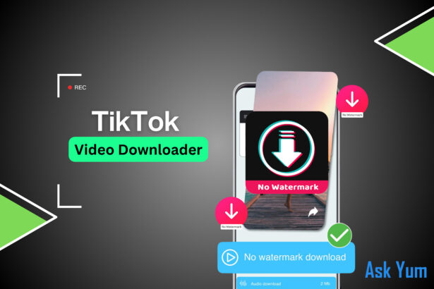 TikTok video downloader no watermark
