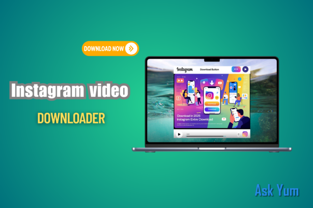 instagram video downloader