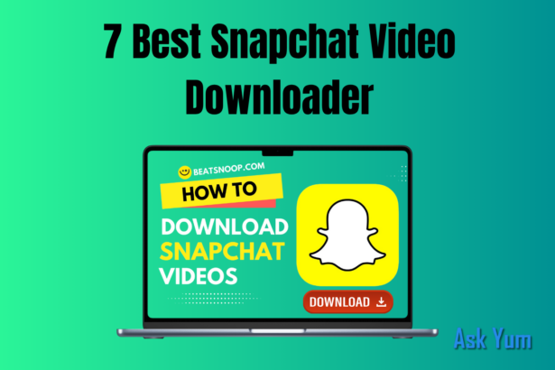 snapchat video downloader